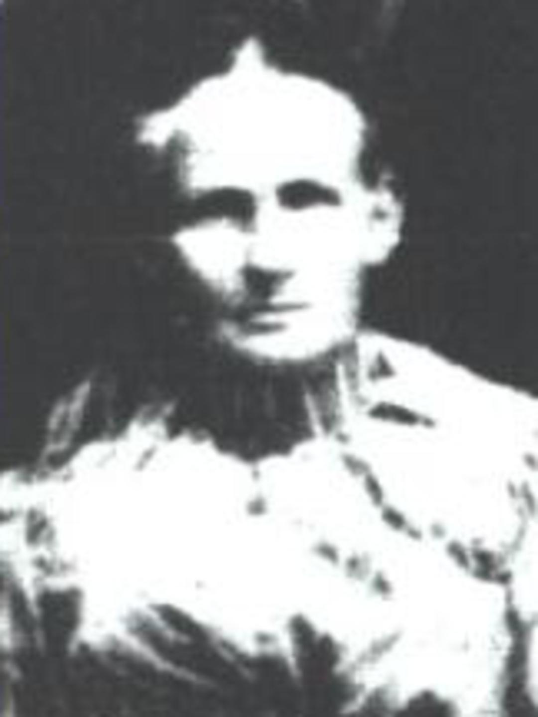 Angeline Adeline Luddington (1845 - 1922) Profile